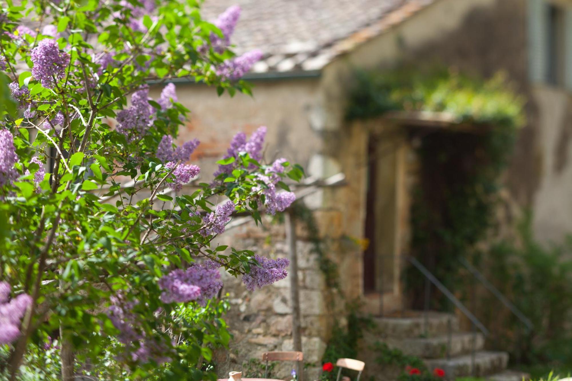 Tenuta Di Spannocchia Villa Rosia Eksteriør bilde